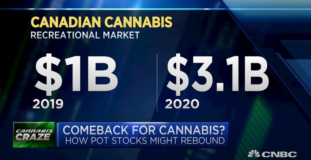 Comeback då marknaden estimerar en trippling av cannabismarknaden i Kanada